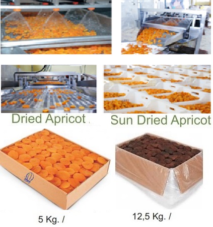 dried apricots